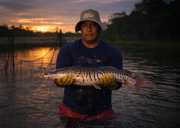 Doncella, the Prized River Fish of the Peruvian Amazon